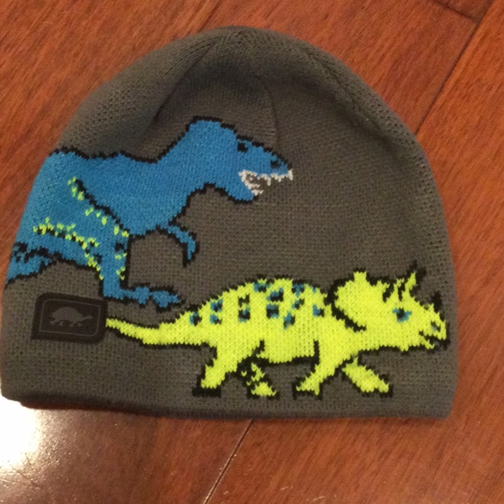 Dinosaur 🦖 Boys Beanie